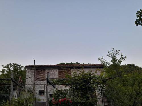 Apartma Grgar