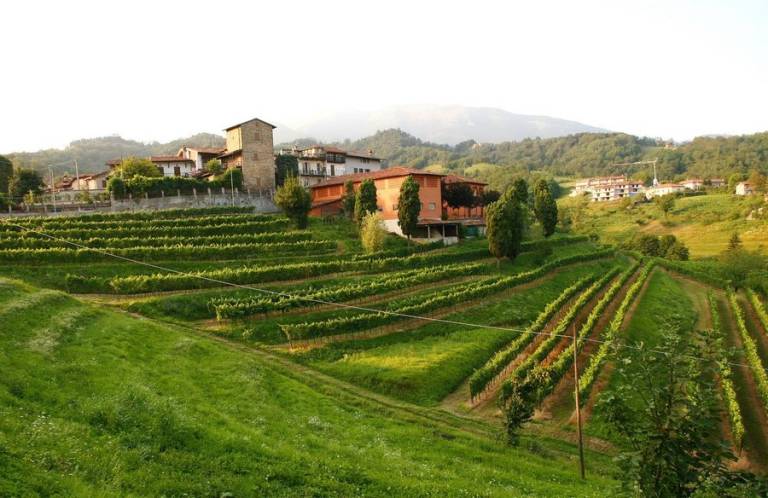 Habitación privada Bérgamo