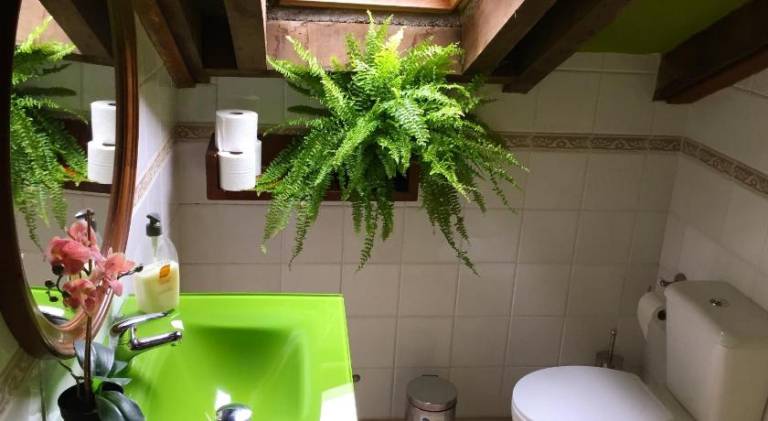 foto19