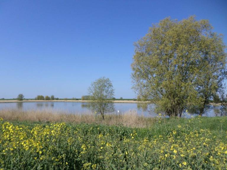 foto16