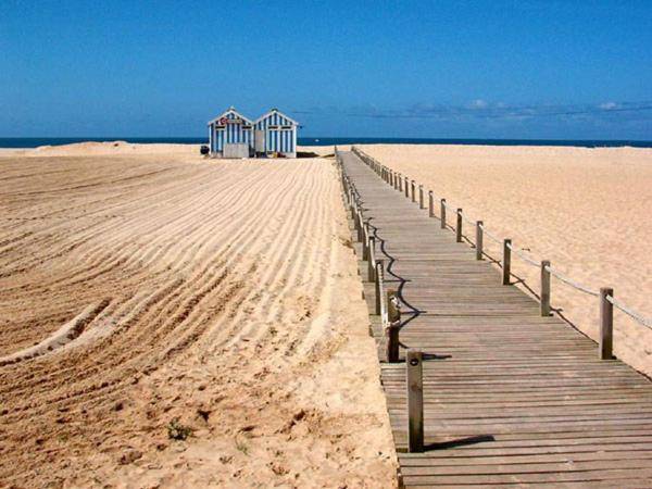 NEW APT center 1 min walk beach/river/casino! in Coimbra
