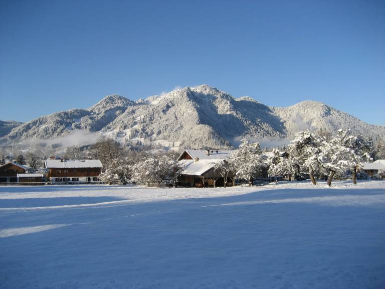 Holiday apartment with sauna | Dogs allowed — photo 4