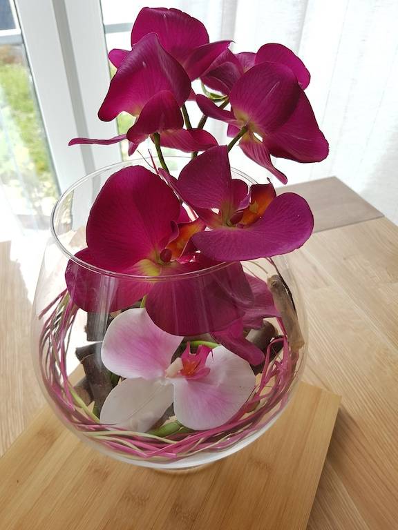 Appartement Rheine