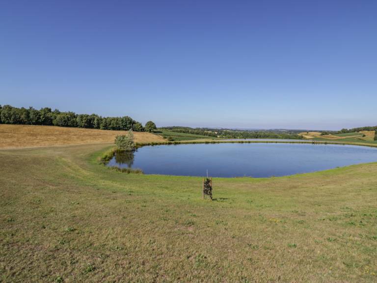 foto16