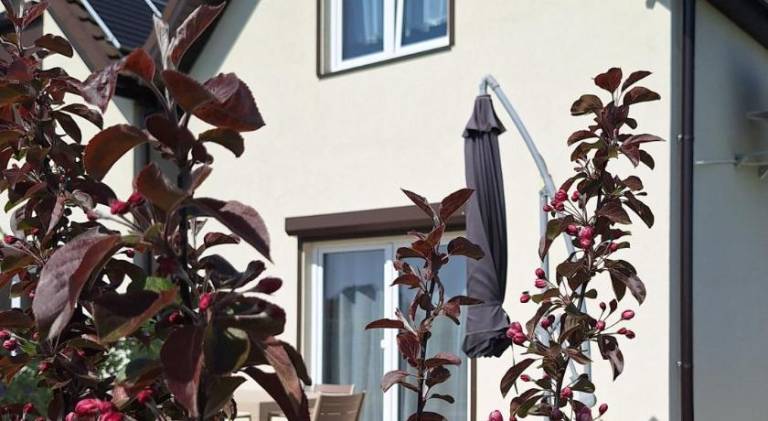 House with 2 rooms for 8 persons in Rewal