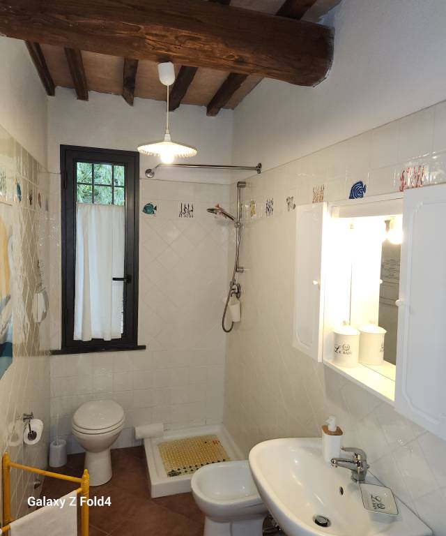 foto31
