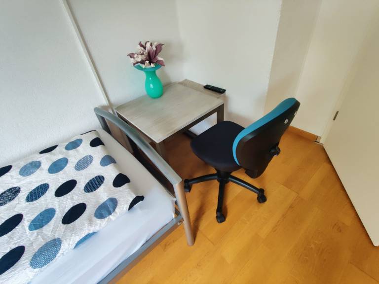 Ferienhaus Bailey mit zwei separaten Wohnungen — photo 4