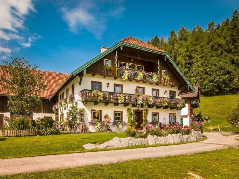 Leilighet  Fuschl