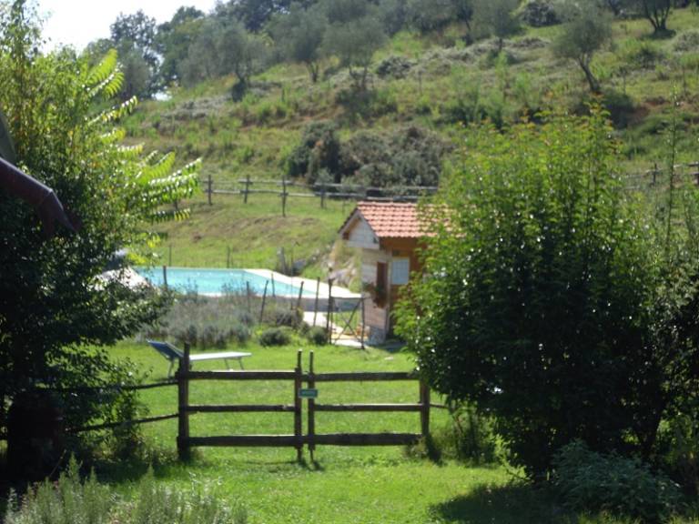 foto47