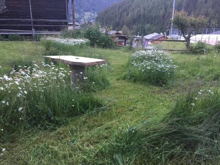 foto7