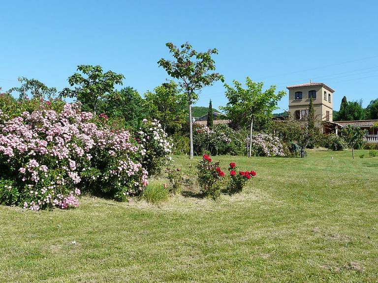 foto21