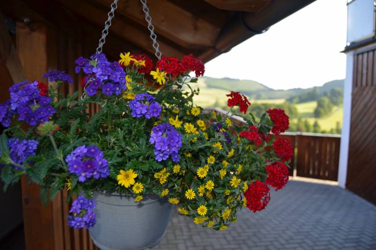 foto20