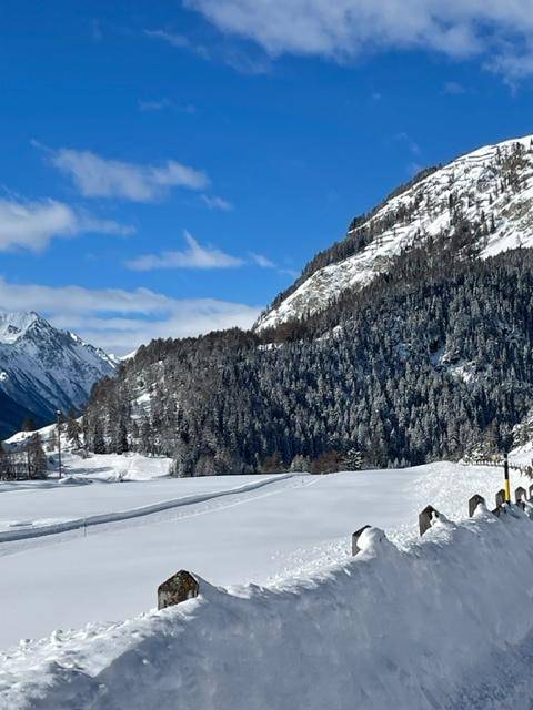 foto31