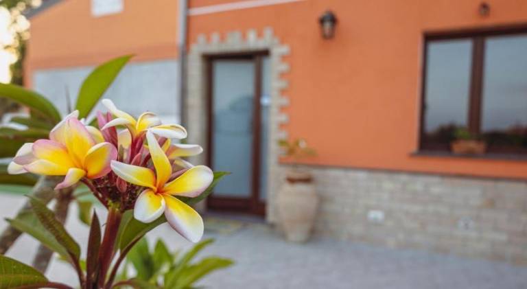 La Pomelia B&b Sofia in Giardini Naxos