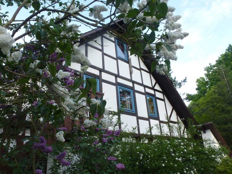 foto21