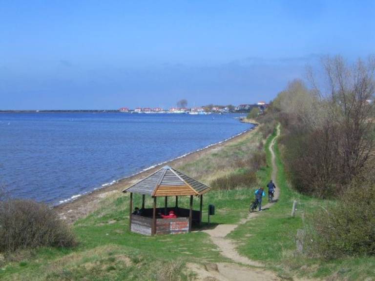foto8