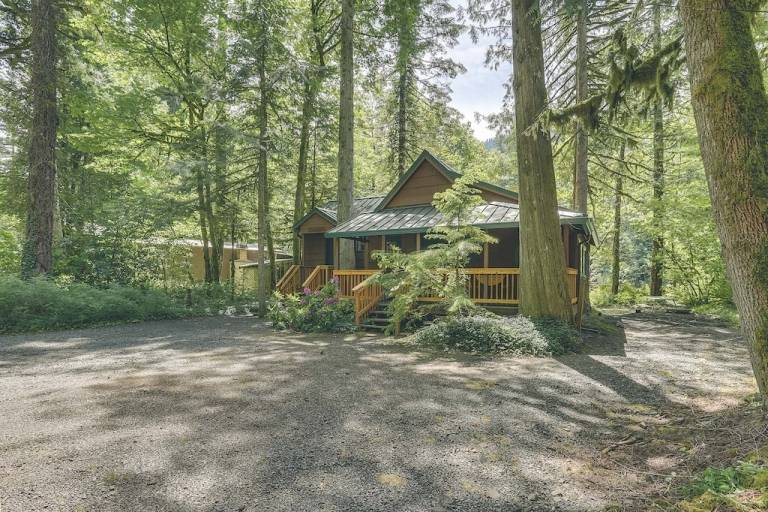 Cabin  Rhododendron