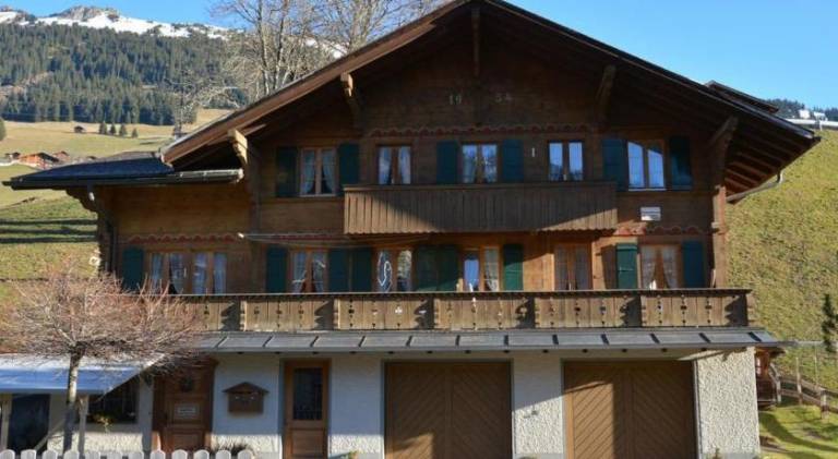 Rental apartment with terrace | Pet-friendly in Saanen