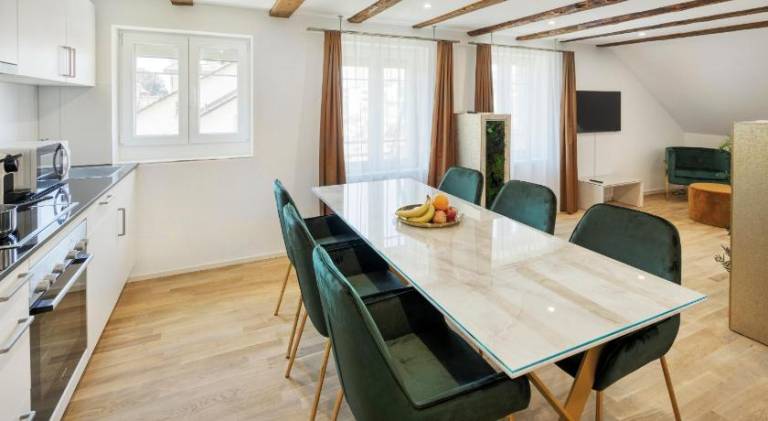 VISIMO Apartments Steigerstrasse St Gallen - Modern Living near OLMA & Hospital — photo 2