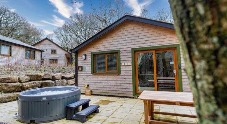 Vacation home with hot tub — photo 5