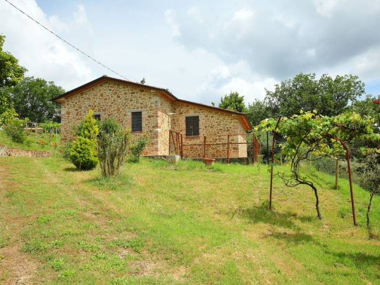 foto11