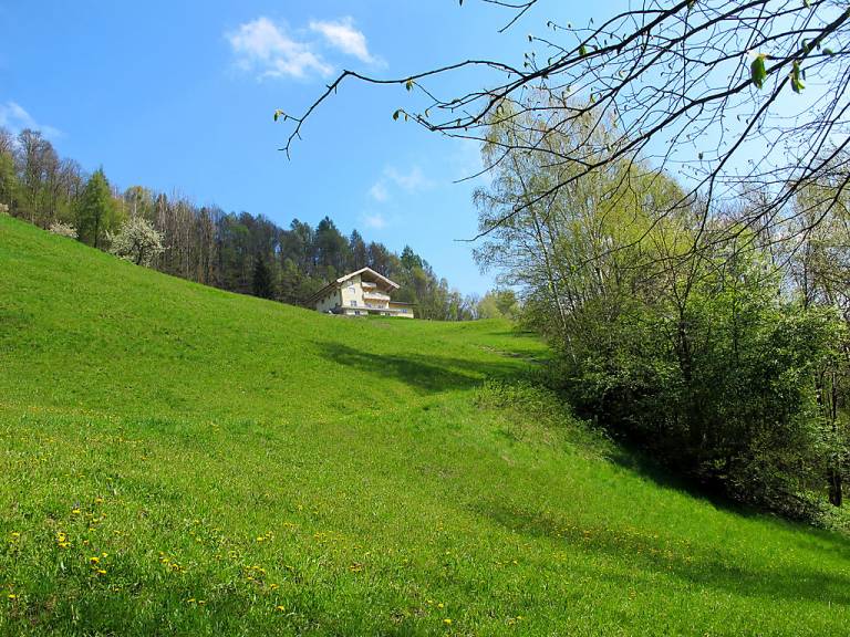 foto17