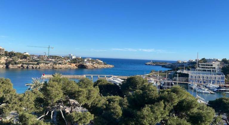 Beautiful rental apartment | Next to the beach | Dogs allowed in Manacor