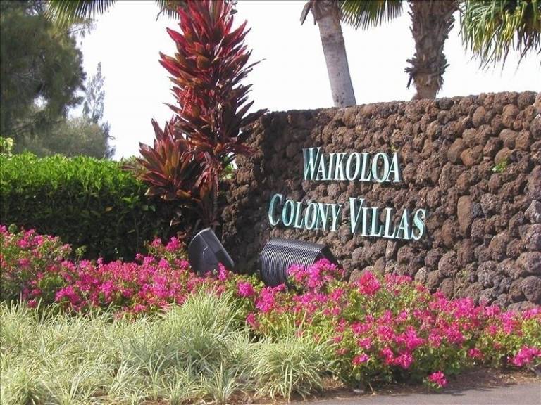 Condo  Puako