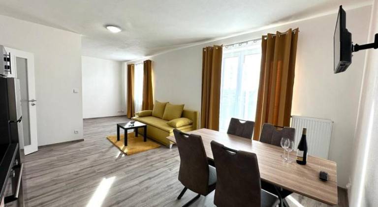 Nice rental apartment | Pets are welcome in Plzen
