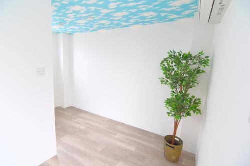 foto7