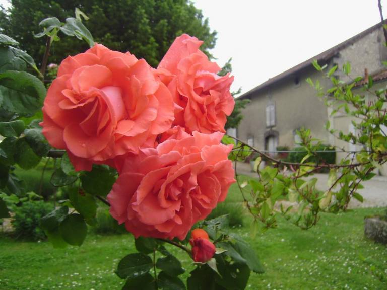 foto33