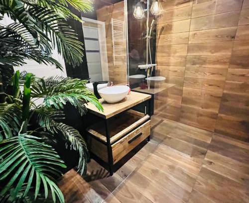 Apartament Drzonków