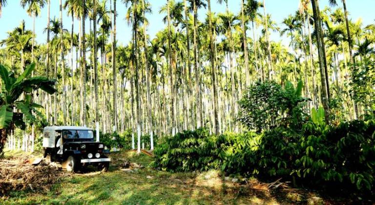 Coffee Native - A Family Homestay — photo 5