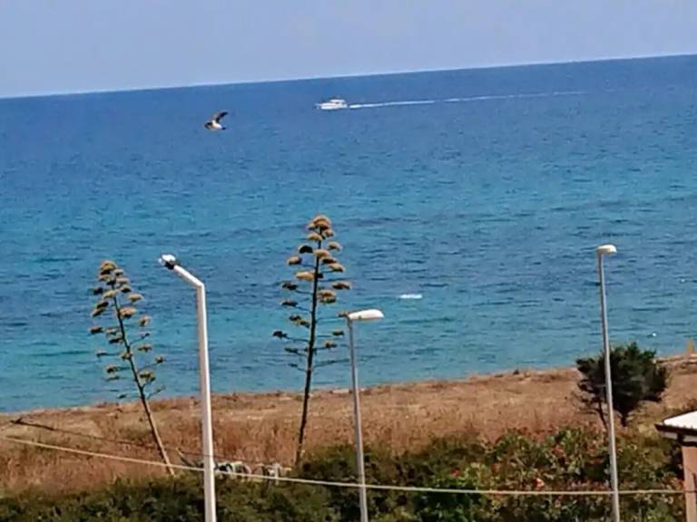 Appartamento Brancaleone
