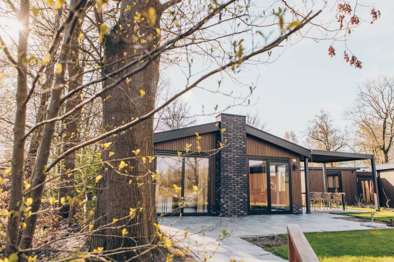 Luxury 6-person holiday home with private sauna, spacious living area and stunning meadow views. Experience comfort, nature and relaxation at Ridderstede. — photo 3