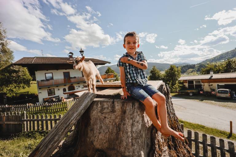 Ferienwohnung in Altenmarkt im Pongau, Gemeinde Altenmarkt im Pongau f&uuml;r max. 6 Personen