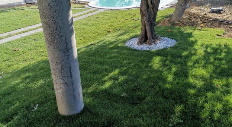 foto32