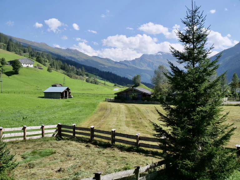 foto16