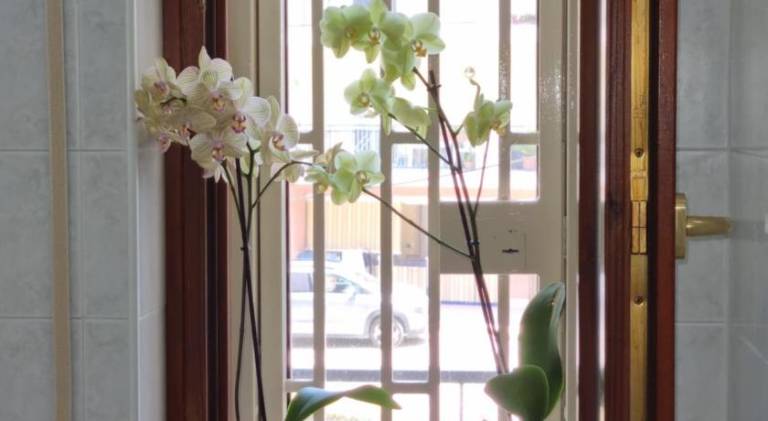 Wonderful rental apartment | Close to the beach | Dogs allowed — photo 5