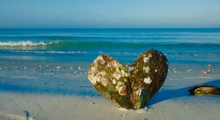 Vacation home for 2 persons in St. Petersburg, FL