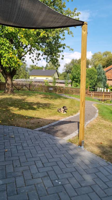 foto16