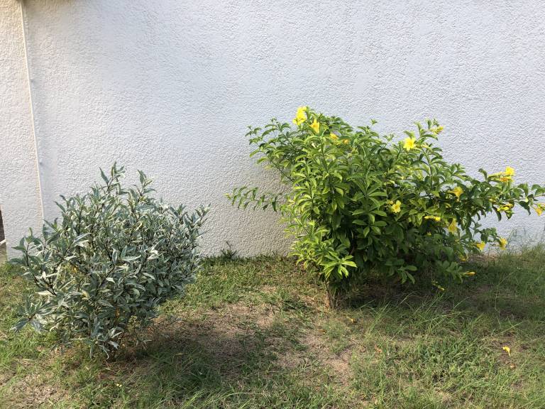 foto40