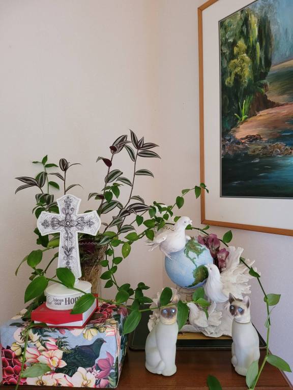 foto12