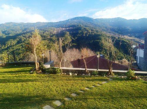 Διαμέρισμα Metsovo