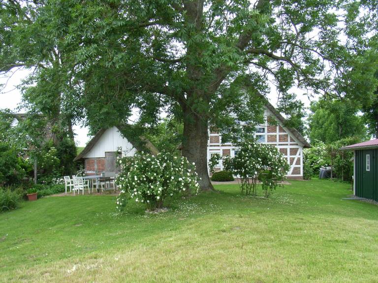 Wonderful house | Dogs allowed in Stade