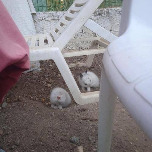 foto8
