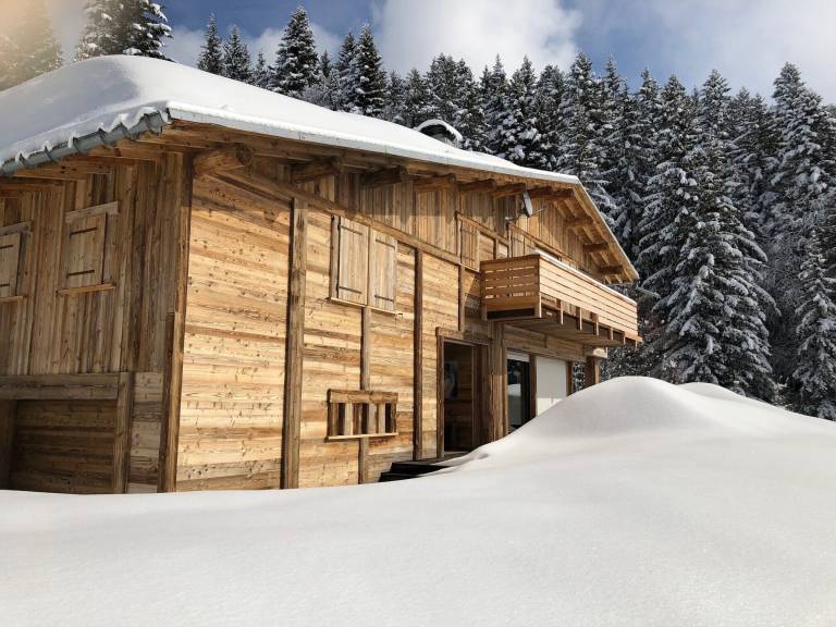 Chalet Taninges