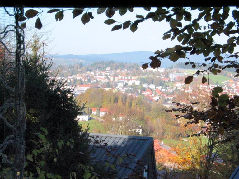 foto7