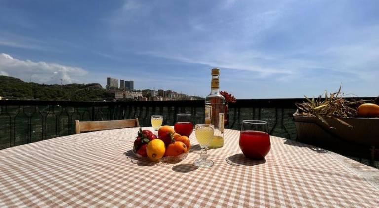 Rental apartment with terrace — photo 3