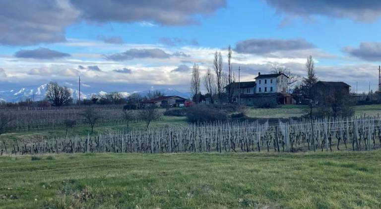 Cascina Valgrande 2 — photo 5